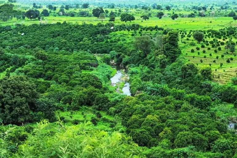 **جبل مرة: "سويسرا السودان" التي تنتظر أن تروي حكايتها للعالم**